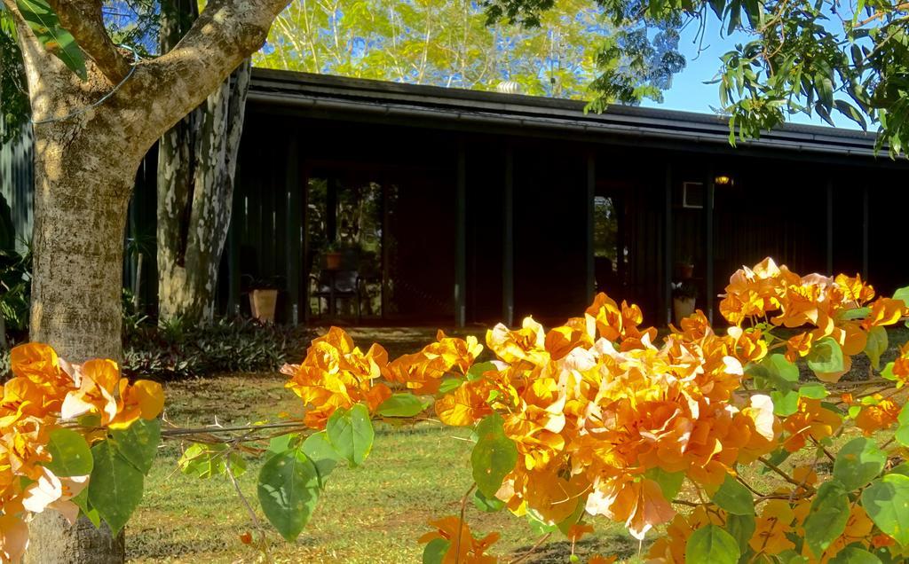 Lagoon Pocket Bed & Breakfast Εξωτερικό φωτογραφία